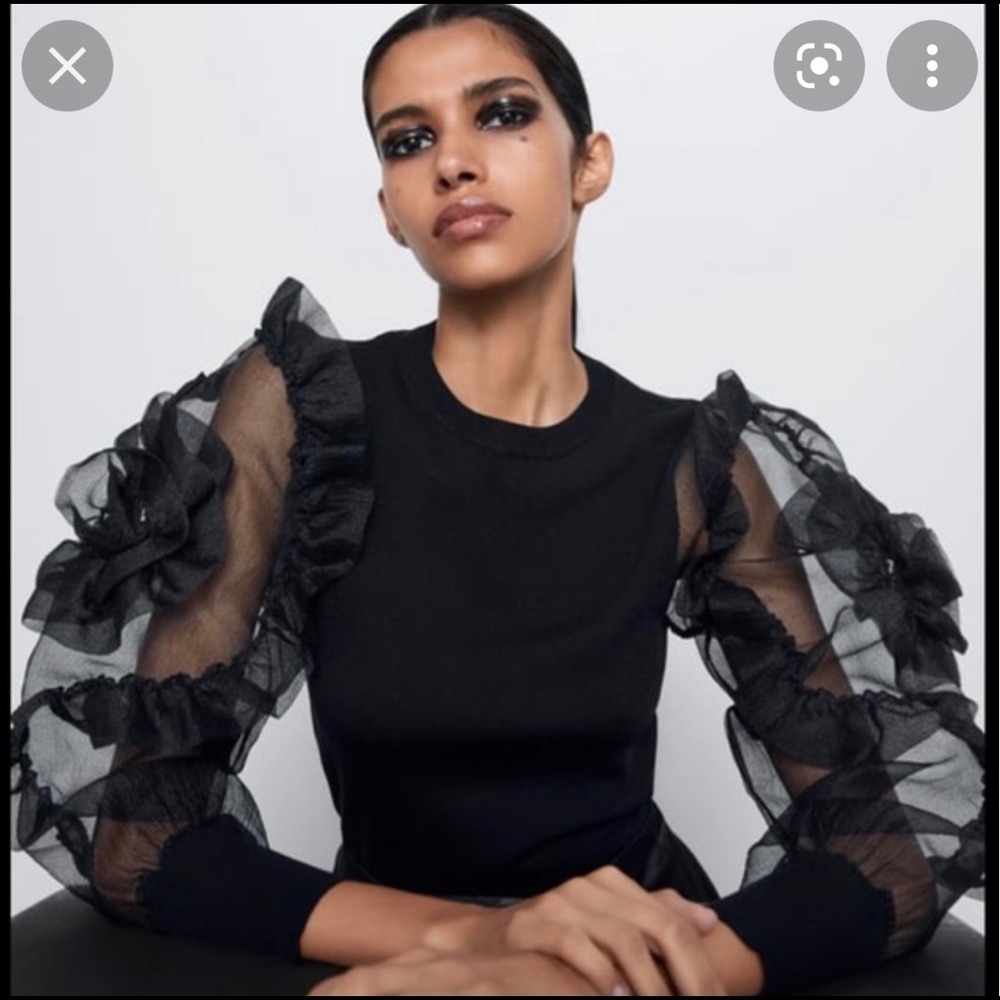 Zara, organza sleeve sweater, S NWOT